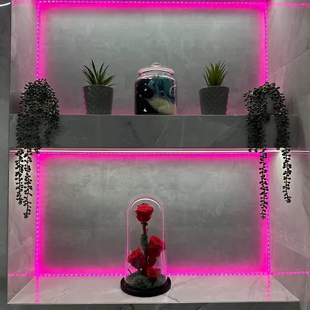 Oasis