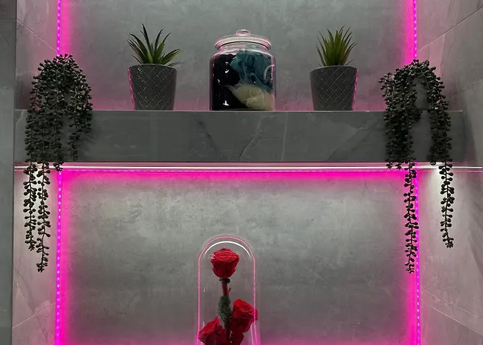 Oasis